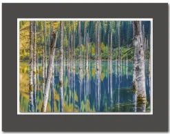 WIEDEMANN Acrylglasbild DAVID KÖSTER