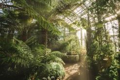 Discount Sonstige Acrylglasbild GEWÄCHSHAUS