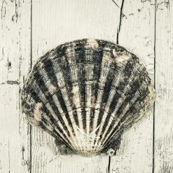 SANSIBAR Acrylglasbild Living