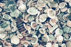 Hot queence Acrylglasbild Sylt