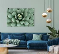 Sonstige Akustikbild AGAVE