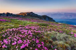 Sonstige Akustikbild ALPENLANDSCHAFT