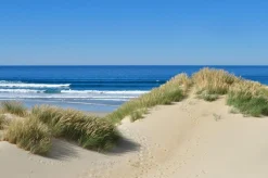 Sonstige Akustikbild DÜNEN AM MEER 1