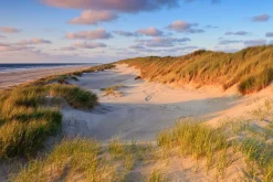 Sonstige Akustikbild DÜNEN AM MEER 2