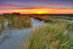 Discount Sonstige Akustikbild DÜNENLANDSCHAFT