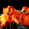 Clearance Sonstige Akustikbild FLAMINGOS