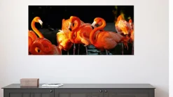 Clearance Sonstige Akustikbild FLAMINGOS