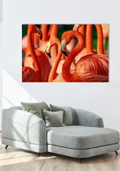 New Sonstige Akustikbild FLAMINGOS