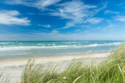 Sonstige Akustikbild NORDSEESTRAND