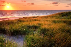 Sonstige Akustikbild SONNENUNTERGANG 2