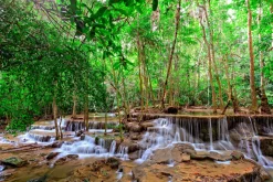 Online Sonstige Akustikbild WASSERFALL 1