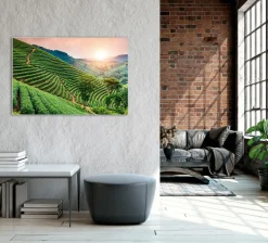 Outlet Sonstige Akustikbild WEINBERGE