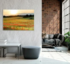 Outlet Sonstige Akustikbild WIESE MIT MOHN