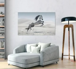 Hot Sonstige Akustikbild WILDPFERD