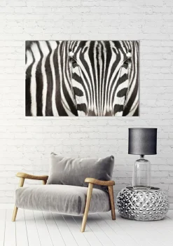 Sonstige Akustikbild ZEBRA