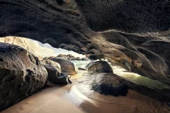 WIEDEMANN Aludibondbild CAVEMAN