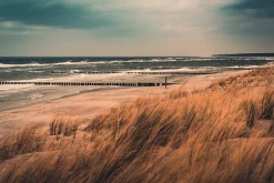 Discount WIEDEMANN Aludibondbild COASTLINE