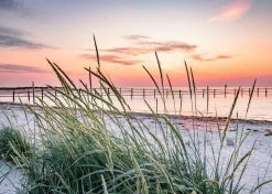 PRO ART Aludibondbild NORTHSEA