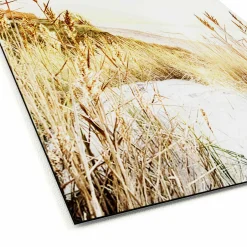 PRO ART Aludibondbild WILDERSTRAND