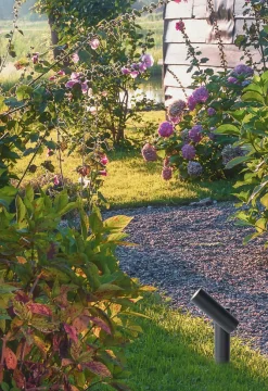 Hot LUCiDE Außenleuchte TATUM