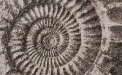 Hot GRUND a.s. Badematte AMMONA