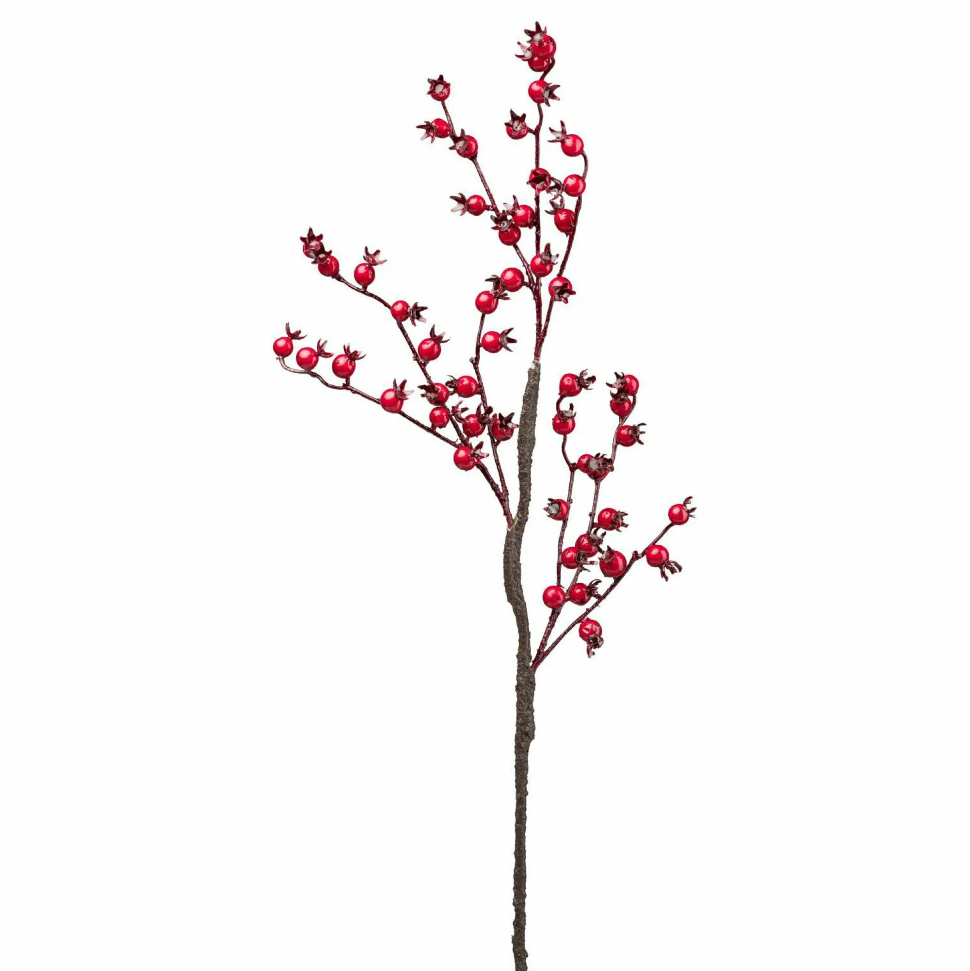 Hot GASPER Beerenzweig