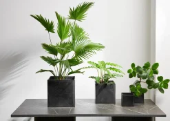 ASA SELECTION Übertopf QUADRO