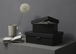 Sale JOOP! Box L CORNFLOWER