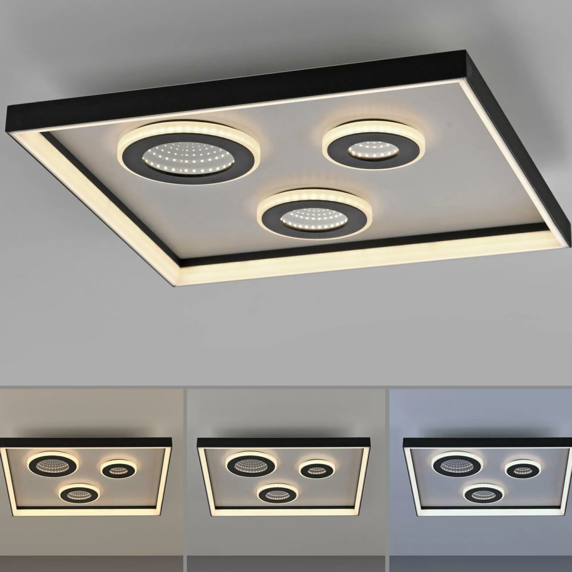 Clearance Paul Neuhaus Deckenleuchte DUNE