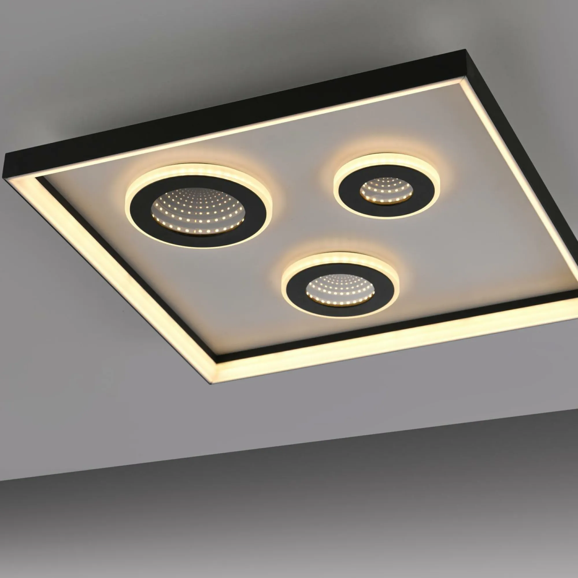 Clearance Paul Neuhaus Deckenleuchte DUNE