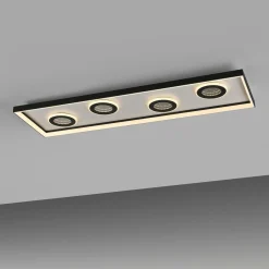 Paul Neuhaus Deckenleuchte DUNE