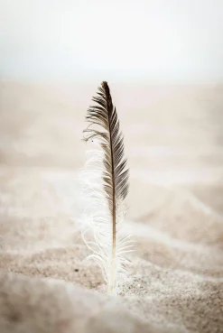 Outlet Sonstige Decopanel FEDER