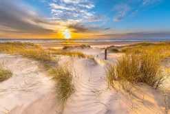 Hot Sonstige Decopanel SUNNY MORNING