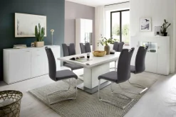 MCA Freischwinger ARTOS