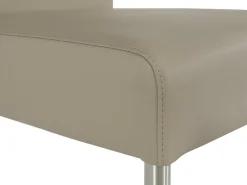 Sonstige Freischwinger SERENA