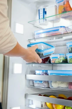 Sale emsa Frischhaltedose CLIP & CLOSE