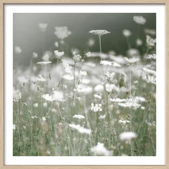 PRO ART Gerahmtes Bild