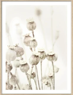 Best PRO ART Gerahmtes Bild DRIED POPPIES