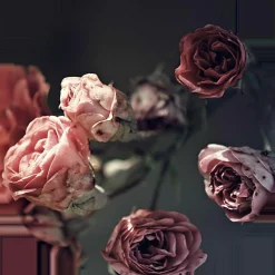 Hot PRO ART Glasbild BEAUTIFUL ROSES