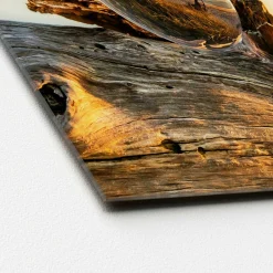 Sonstige Glasbild DROP ON WOOD