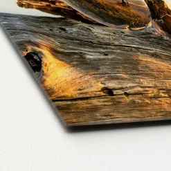 Sonstige Glasbild DROP ON WOOD