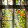 Sonstige Glasbild FENSTER MIT LAUB