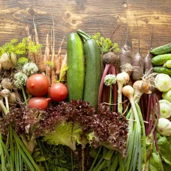 PRO ART Glasbild GEMÜSE I