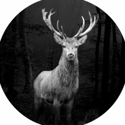 Online PRO ART Glasbild GREY DEER HEAD