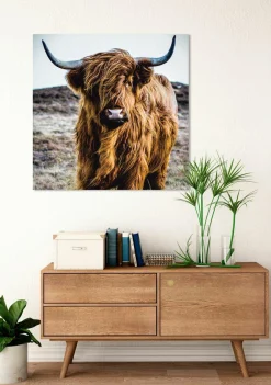 Sonstige Glasbild HOCHLANDRIND