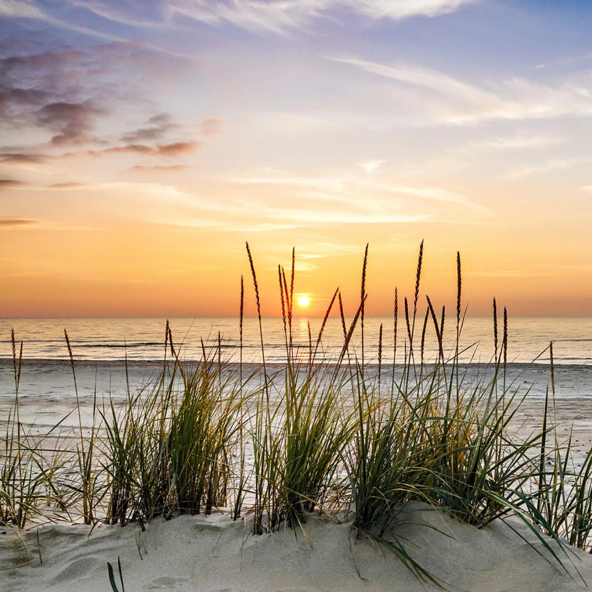 PRO ART Glasbild LONELY DUNE