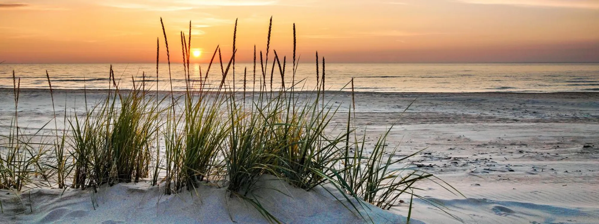 Clearance PRO ART Glasbild LONELY DUNE