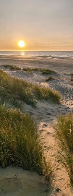 PRO ART Glasbild WEG ZUM STRAND II