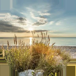 PRO ART Glasbild WILDER STRAND