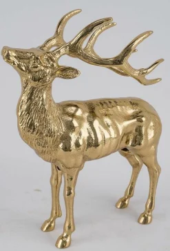 Outlet Sonstige Hirsch